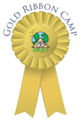 Gold Ribbon Camp Logo
